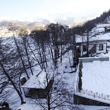 Hotel Victoria Bakuriani Dış mekan fotoğraf