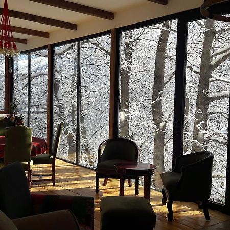 Hotel Victoria Bakuriani Dış mekan fotoğraf