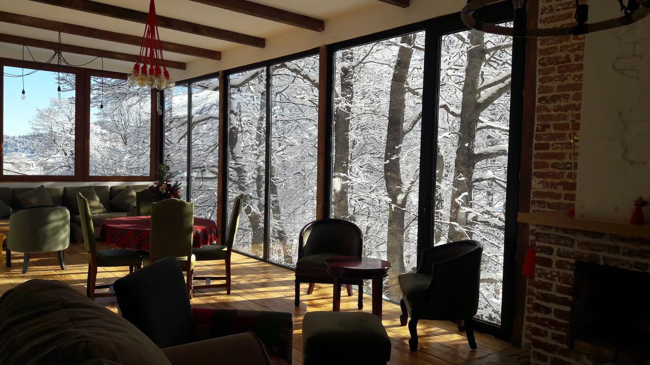 Hotel Victoria Bakuriani Dış mekan fotoğraf